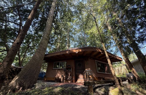 Shawnigan Lake Apartment | The Wobbly Hobbit- a unique cob studio in the forest.