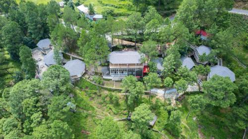 Jaiharikhal Resort | The Woods Retreat