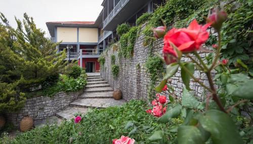 Andritsaina Hotel | Theoxenia Hotel