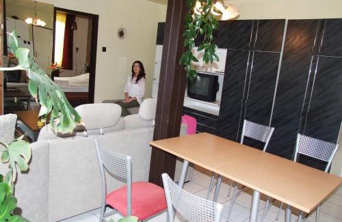 Sarvar Hotel | Thermal Panzió Sárvár