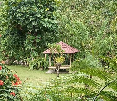 Ketambe Bed & Breakfast | Thousand hills ketambe ,room and treking