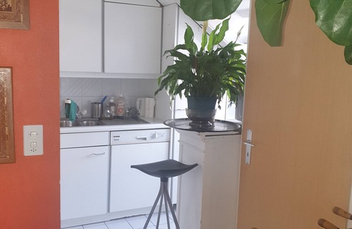 Coulouvreniere Rois Apartment | Three rooms with private bath in a lovely den in Geneva's centre