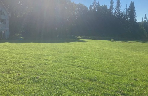 Orleans RV Rental | Throw your tent anywhere on property