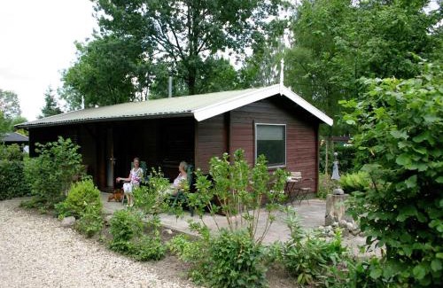 Ootmarsum Ski Chalet | Tidy chalet with a microwave in the Achterhoek