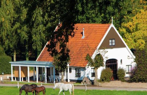 Ootmarsum Ski Chalet | Tidy chalet with a microwave in the Achterhoek