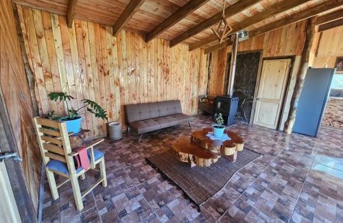 Curacautin Apartment | Tierra de Volcanes