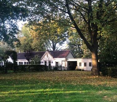 Municipality of Breda House | TimeOut-Breda