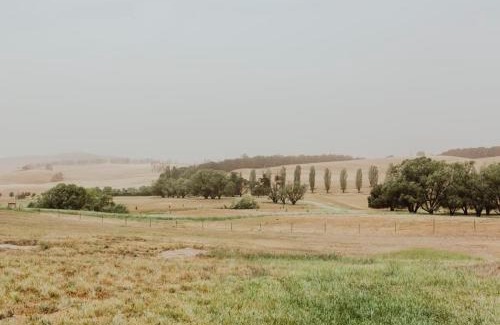 Shooters Hill House | Tiny Daisy