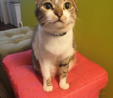 Shimogyo House | Tiny GuestHouse Umekoji 梅小路