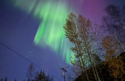 Chugiak House | Tiny Home at Bear Mountain -Only 25 Min from Anchorage, Great Central location-Cute & Comfortable