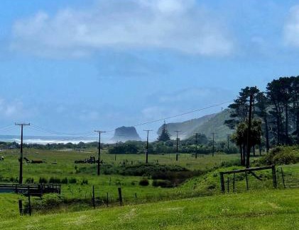 Greymouth Apartment | Tiny House 1 close to beach