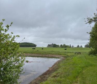 Billund Municipality House | Tiny House Countryside