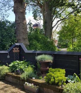 Tholen House | Tiny House Tholen