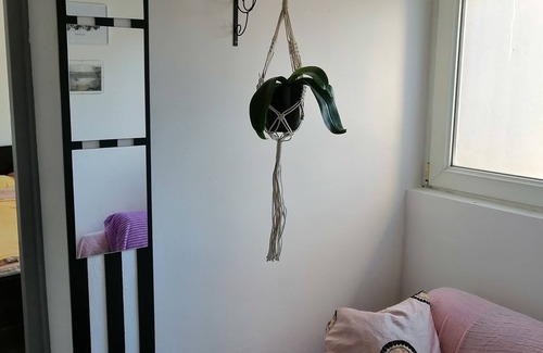 Palilula Apartment | Tiny little flat