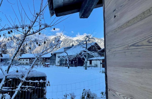 Ehenbichl Apartment | Tinyhouse - Alpenapart Singer