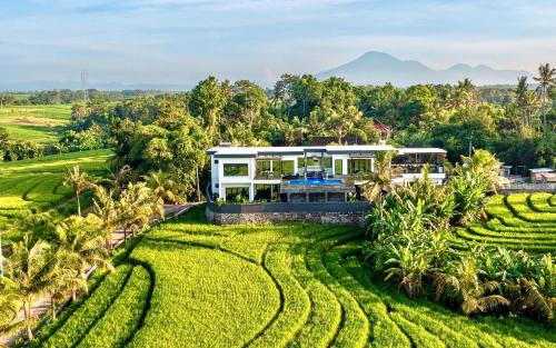 East Selemadeg Villa | Tippo's Bali Villas