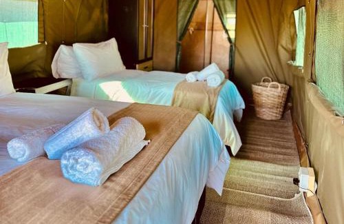 Pilanesberg National Park Other | Tlou Tribal Lodge