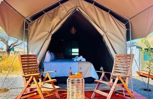 Pilanesberg National Park Other | Tlou Tribal Lodge