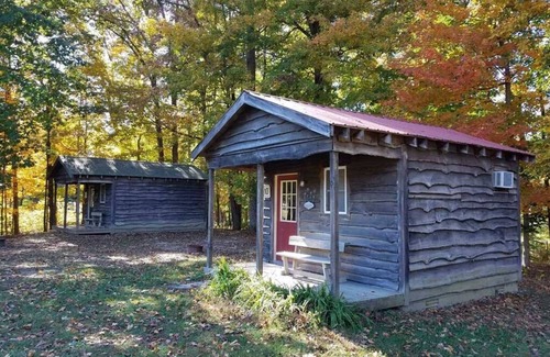 Helmsburg Cabin | "Tom T" Camping Cabin #10 | Pet Friendly