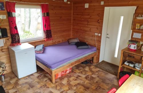 Birzgale House | Toma pirts MAZĀ