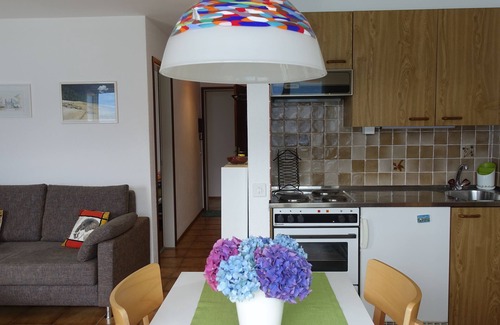 Gerra Apartment | Top view over Lago Maggiore in Gerra Gambarogno Switzerland