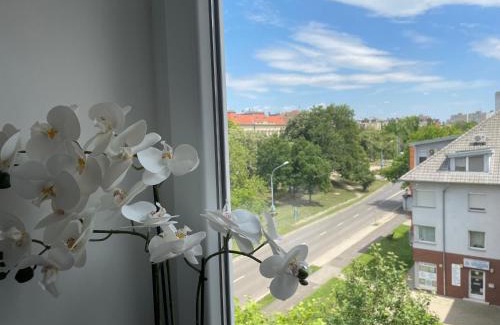Hodmezovasarhely Apartment | Torony Apartman Hódmezővásárhely