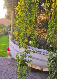 Arco da Calheta House | Torre Bella Gardens