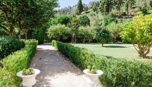 Anadia Bed & Breakfast | Torres da Vila