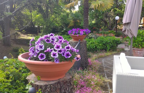 Capolona House | Toscana short term rental - Il Casale