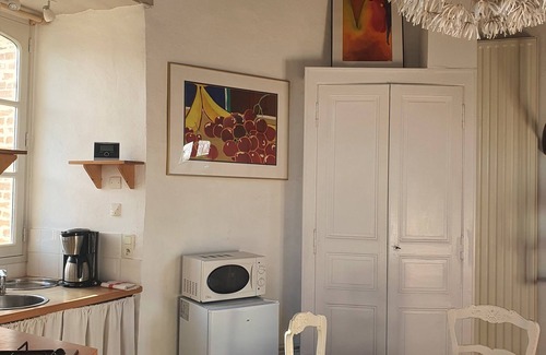 Bouchemaine Apartment | Tour-Moulin