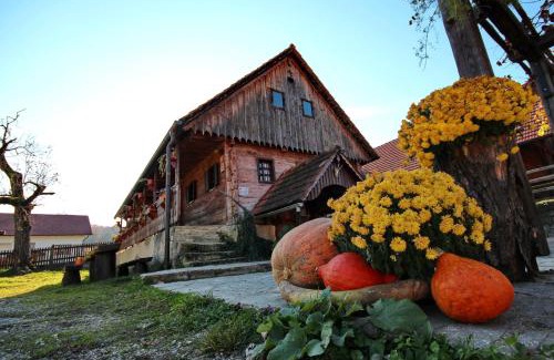Cerklje ob Krki House | Tourist Farm Pri Martinovih