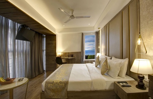 Patel Nagar Hotel | Town Pallace Inn