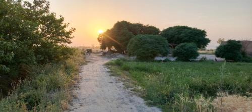 Punjab Other | Traditional Village Farm Stay Nature & Peace in desi food
