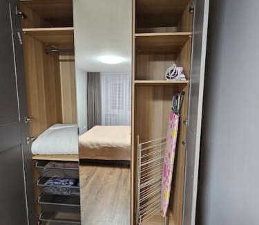 Siauliai City Center Apartment | Trakai City apartment 2-bedroom