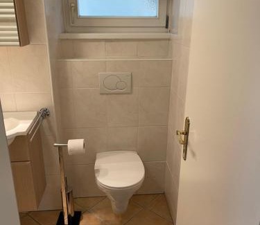 Bad Ischl Apartment | Traunkai Apartments - Zimnitz Blick