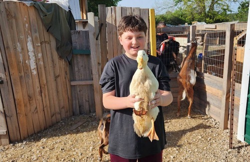 Palestine RV Rental | Travel Trailer with Wi-Fi @ Fabulous Bok Vegas Interactive Petting Zoo and Farm