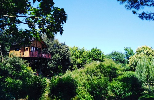 Vitellino House | Tree House Awen of La Bandita Farmhouse