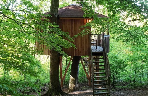 Uslar Apartment | Tree house round house, living/sleeping area - Baumhaushotel Solling