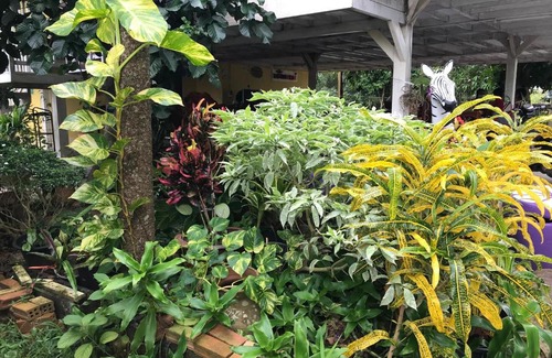 Ban Wang Hom Cabin | Tree in town ทรีอินทาวน์