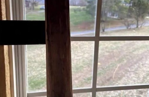 Pine Grove Cabin | Treehouse at Fairview Farms