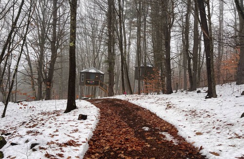 Hartland Cabin | Treehouse at Wise Pines- SoBo