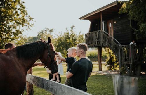 Ljutomer Other | Treehouse Drevesna hiška Štrkovo gnezdo Ranč Jureš