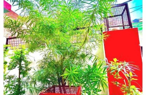 Faizabad House | Treta Homestay| Treta Homestay