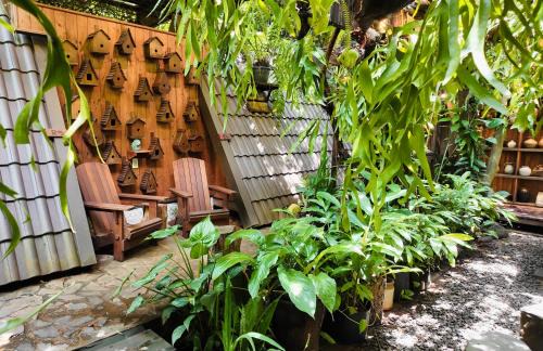 Buon Ma Thuot House | TROPICAL GARDEN Homestay