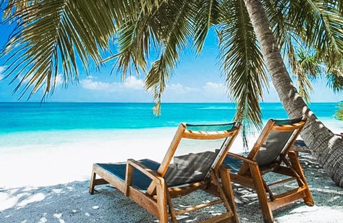 Fehendhoo House | Tropical Tree