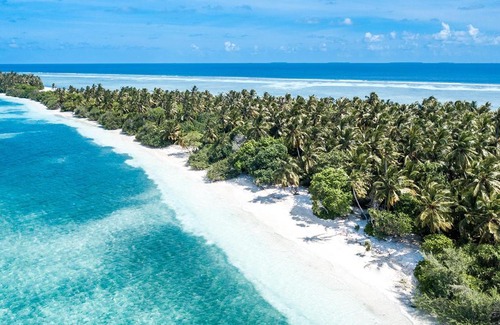 Fehendhoo House | Tropical Tree