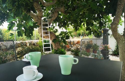 The Trulli of Alberobello House | Trulli Resort Aia Piccola