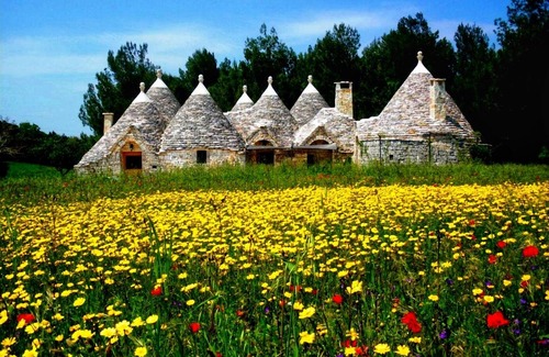 Cisternino Villa | Trullo in the woods, a few steps from a hiking and cycling trail