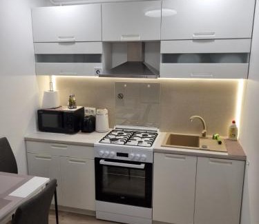 Panevezys county Apartment | Trumpalaike buto nuoma