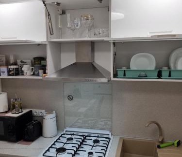 Panevezys county Apartment | Trumpalaike buto nuoma